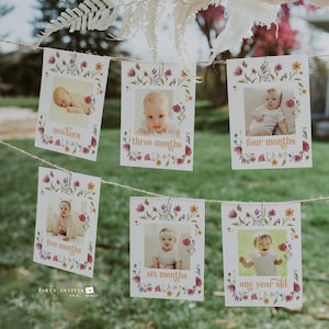 Wildflower First Birthday Monthly Photo Banner, Wildflower 1st Birthday Banner, Watercolor Floral Printable Template 2543