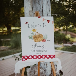 Picnic Birthday Party Welcome Sign, Printable Picnic in the Park Poster, Red Gingham Picnic Sign, 2586