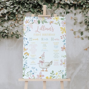 Goose and Flowers Birthday Party Milestone Sign, Gingham Goose First Birthday Milestone Poster, 2829