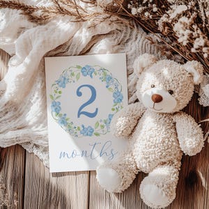 Printed Blue Vintage Floral Milestone Cards, Blue Flower Wreath and Bow Baby Monthly Milestone Keepsake Cards, Baby Shower Gift, 2830