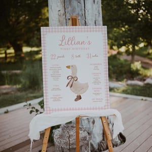 Pink Gingham and Goose Birthday Party Milestone Sign, Goose First Birthday Milestone Poster, 2810