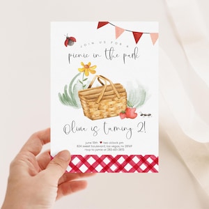 Picnic Birthday Invitation, Picnic in the Park Invite, Summer Birthday, Red Gingham, Printable Birthday Invitation 2586