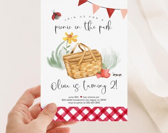 Picnic Birthday Invitation, Picnic in the Park Invite, Summer Birthday, Red Gingham, Printable Birthday Invitation 2586