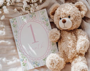 Printed Girl Floral Milestone Cards, Gingham and Ribbon Baby Monthly Keepsake Cards, Baby Shower Gift