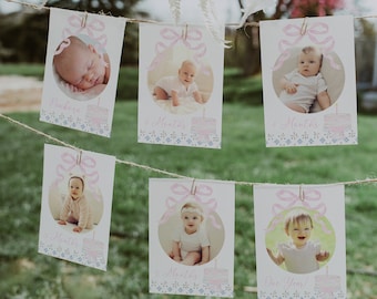 Pink Bow First Birthday Monthly Photo Banner, Gingham Cake and Floral 1st Birthday Banner, 2738
