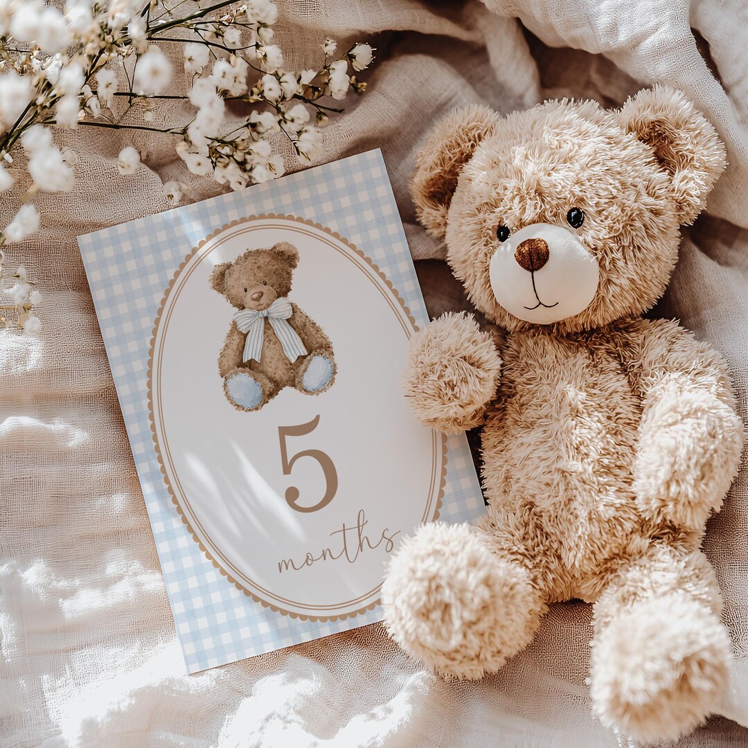 Printed Boy Nursery Toys Milestone Cards, Blue Gingham Baby Monthly ...
