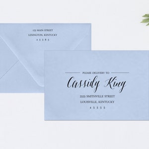 PRINTED Envelope Addressing, Calligraphy, Return Addressing, Service, Guest Addressing, Script, Elegant, Light Blue, Baby Blue, Style #111