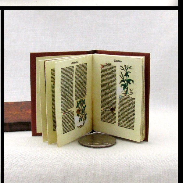 1:6 Scale Ortus Sanitatis MEDIEVAL HERBAL MEDICINE Book Illustrated Readable Hard Cover Book Doctor Health Medical Nurse Human Play Scale