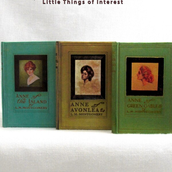 1:4 Scale ANNE Of GREEN GABLES Set of 3 Readable Illustrated Miniature Hard Cover Books Anne of the Island Avonlea