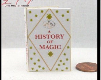 1:6 Scale A HISTORY OF MAGIC Miniature Playscale Readable Illustrated Hard Cover Book Popular Boy Wizard Potter Barbie Scale Accessory