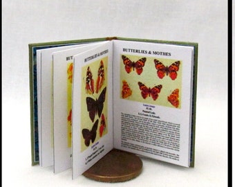 SCHMETTERLINGE und MOTTE Miniatur-Puppenhaus im Maßstab 1:12, lesbar, illustriertes Hardcover-Buch, Lepidopterologie