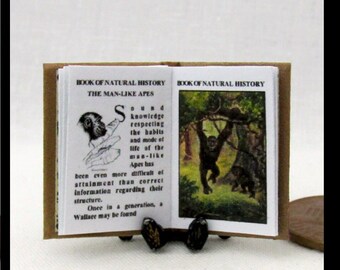 BOOK Of NATURAL HISTORY 1:12 Scale Miniature Dollhouse Readable Illustrated Hard Cover Book Animals Birds Reptiles