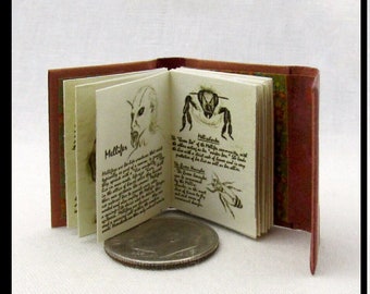 Miniature Set of 18 Books for Dollhouses [MJD 2100]