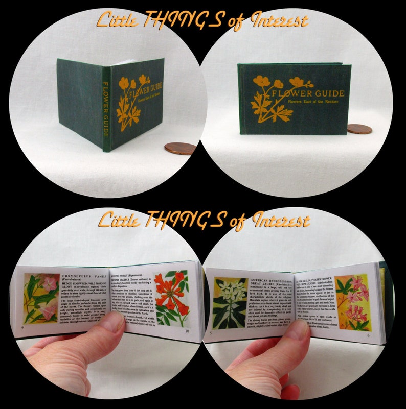 BUTTERFLIES AND MOTHS Illustrated Readable Book in 1:3 Scale Miniature Book