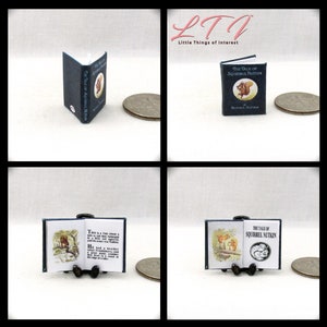 Digital Download BEATRIX POTTER Books Set of 14 Books Pdf and Construction Tutorial for Miniature 1:12 Scale Illustrated Readable Books image 4