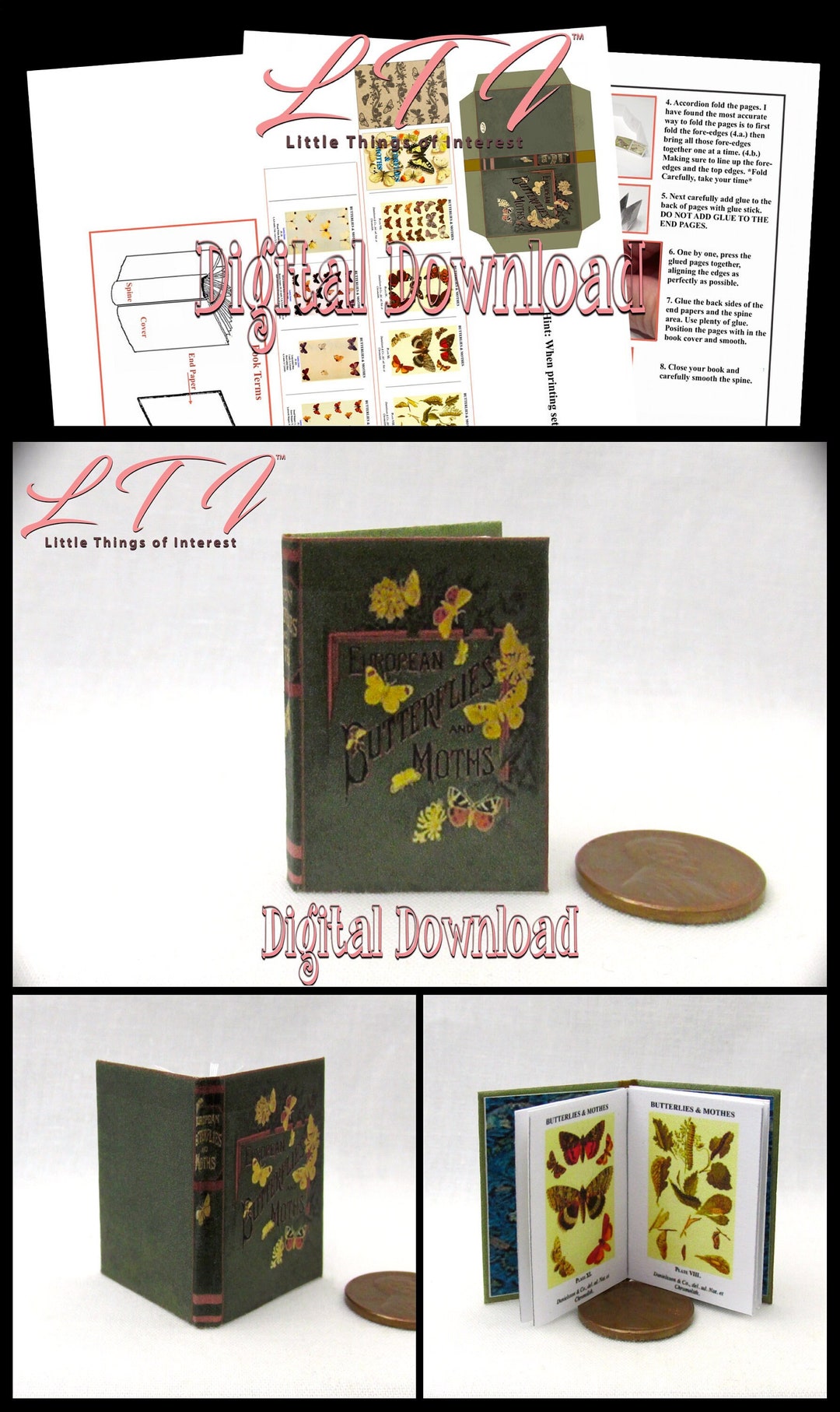 Digital Download 1:6 Scale BUTTERFLIES and MOTHS Download Illustrated ...