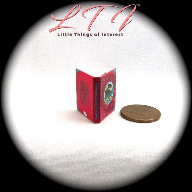 The COMPLETE Book of DRAGONS 1:12 Scale Miniature Dollhouse Readable Illustrated Hard Cover Book image 3