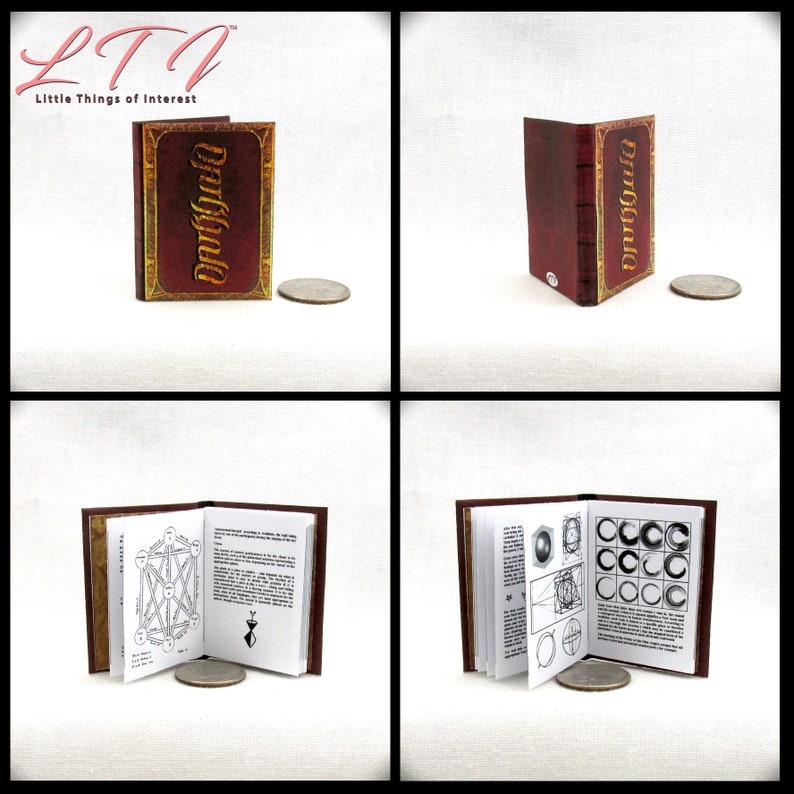 THE FAIRY RING 1:6 Scale Book Readable Color Illustrated Book bjd Momoko Barbie
