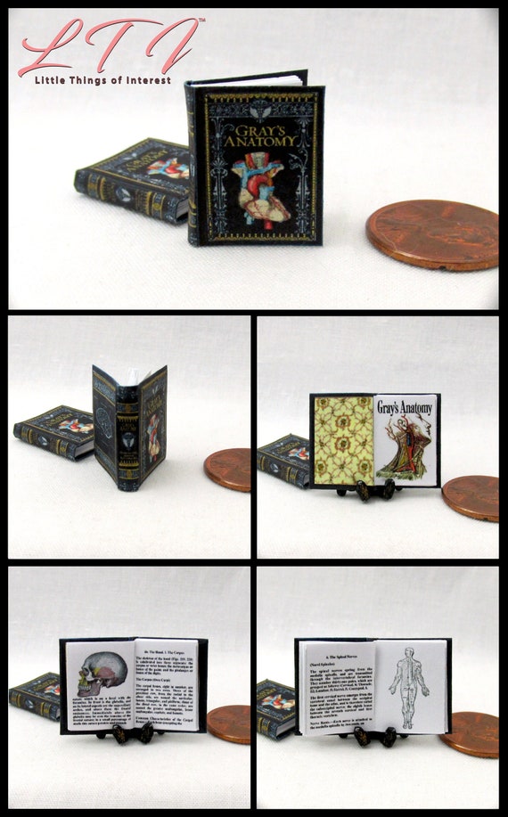 HUMMING BIRDS Miniature Book Dollhouse 1:12 Scale Readable Illustrated Book