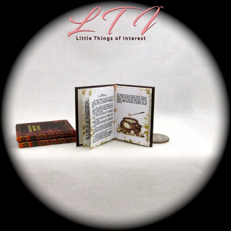 MAGICK MOSTE EVILE 1 6 Scale Illustrated Readable Spell Book Etsy