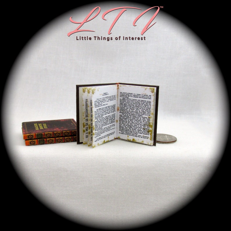 MAGICK MOSTE EVILE 1 6 Scale Illustrated Readable Spell Book Etsy