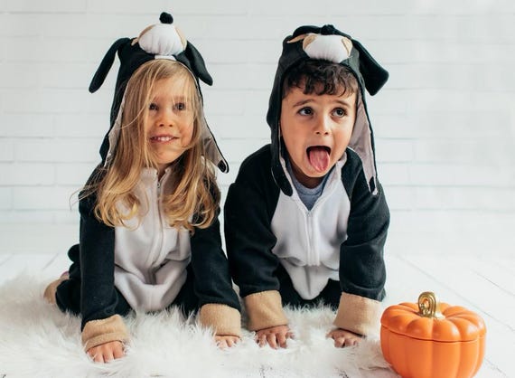 Sweat à Capuche Halloween Bouvier Bernois - Design Citrouille Et Squelette - Pour Fans De Chiens - Unisexe - 4