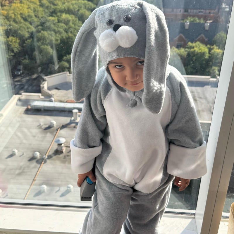 Bunny Costume - Etsy