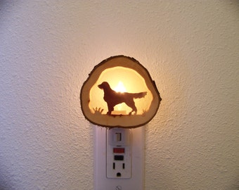 Irish Setter/Golden Retriever nightlight