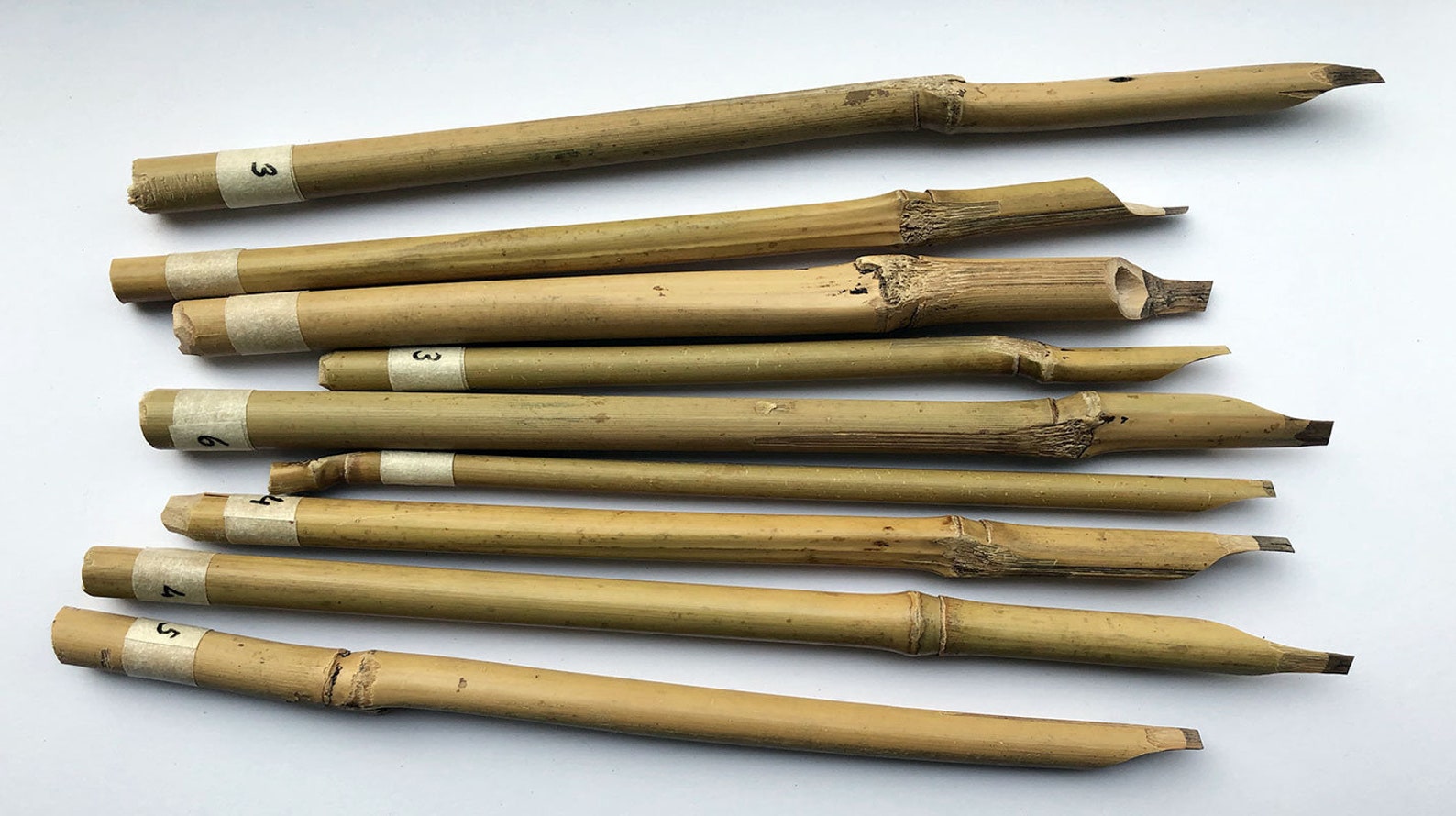 Bamboo Reed Pen or Qalam Slanted Cut 3 to 7mm Etsy