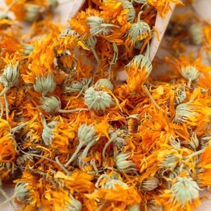 1-5lb Organic CALENDULA Flower Whole Bulk Dry Marigold Herb Tea Culinary Edible Immune Boost Calm Heal Soothe Skin Relief Salve Oil Bath Aid image 1