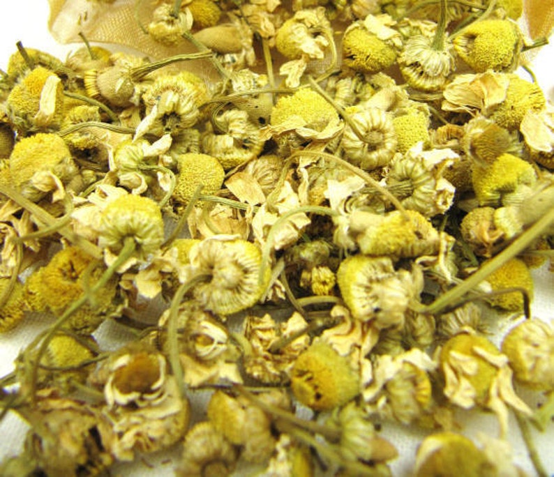 1-5lb Organic CALENDULA Flower Whole Bulk Dry Marigold Herb Tea Culinary Edible Immune Boost Calm Heal Soothe Skin Relief Salve Oil Bath Aid image 3