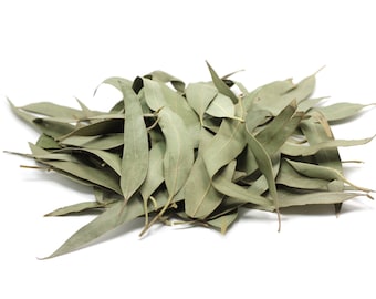 Organic Whole Eucalyptus Leaves Tea: Whole Leaf, Hojas de Eucalipto Secas