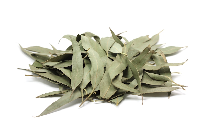 Organic EUCALYPTUS LEAF Tea Whole 100 Natural Nonirradiated Etsy