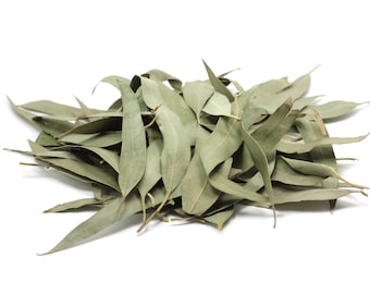 1lb ORGANIC EUCALYPTUS LEAF 100% Natural Throat Soother Tea Hojas secas de Eucalipto Air Purifier Bulk Respiratory Remedy Decongestant Sinus