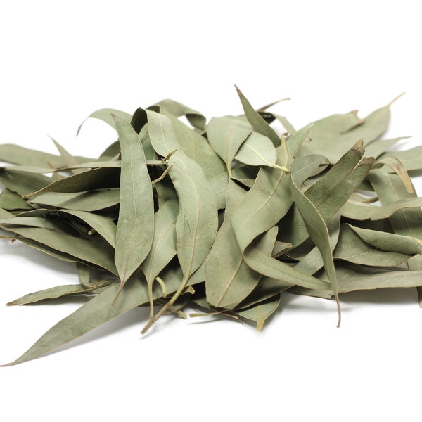 1lb FEUILLE D’EUCALYPTUS BIO 100% Naturel Gorge Sucette Thé Hojas secas de Eucalipto Purificateur d’air Vrac Remède Respiratoire Décongestionnant Sinus