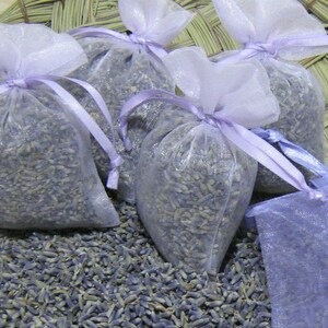 May include: Four lavender-scented sachets made of sheer purple fabric with lavender buds inside. The sachets are tied with purple ribbon and are sitting on a bed of dried lavender.
