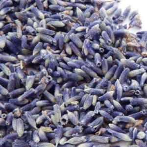 EDIBLE LAVENDER TEA Organic Culinary Bulk Dry Premium Natural Flower Whole Medicinal Herb Food Grade Bake Cook Infuse 1oz 2oz 4oz 8oz 1lb image 2