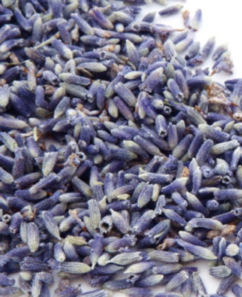 EDIBLE LAVENDER TEA Organic Culinary Bulk Dry Premium Natural Flower Whole Medicinal Herb Food Grade Bake Cook Infuse 1oz 2oz 4oz 8oz 1lb image 2