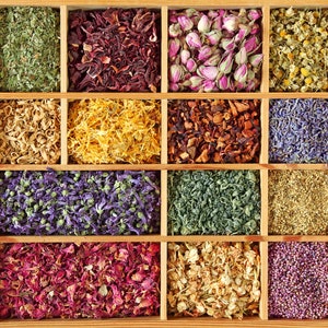 1lb Organic Dried CALENDULA PETALS Bulk, Just Petals No Stems // Calendula Tea, Edible Culinary Grade 8oz 12oz 16oz image 10
