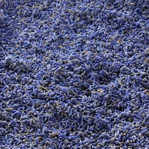 May include: A close-up view of a large quantity of dried lavender buds. The buds are a deep purple color and have a slightly fuzzy texture.
