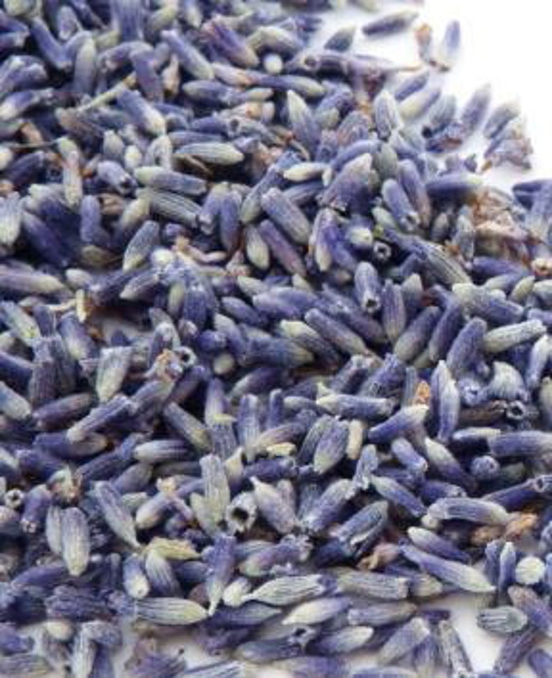 1-8lb CULINARY LAVENDER TEA Organic Edible Flower Whole Medicinal Herb Dry Bulk Natural Stress Relief Aid Calm 1lb 2lb 3lb 4lb 5lb 8lb 6lb image 2