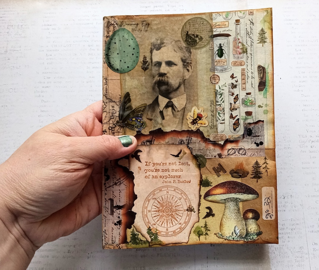 Vintage Field Journal Art Piece - Look Book Nature Mixed Media Collage ...