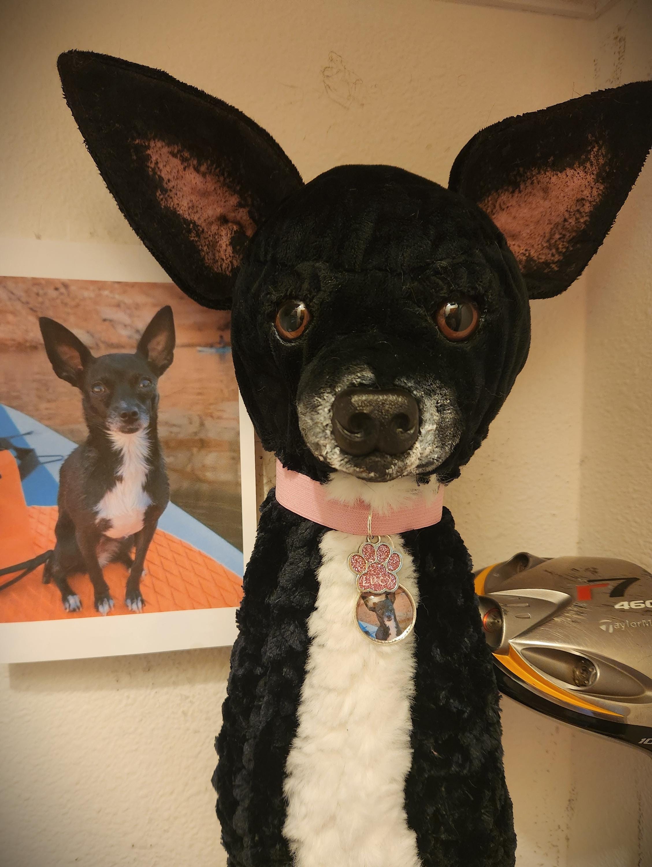カスタム犬用ゴルフクラブカバー：アメリカ製ハンドメイド、ゴルファー 