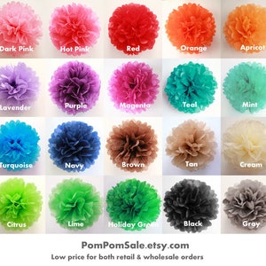 SALE - One Large 18'' Tissue Paper Pom Poms - for Baby Shower / Baptism / Birthday / Wedding Party Decoration - Fast Shipping