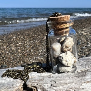 Great Lakes Coral Fossil Jar Pendant: Crinoids, Crinoid Stems, Honeycomb Coral, and "Fossil Soup"