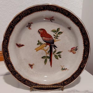 Vintage decoratief bord papegaai – handgeschilderde muurkunst vogels en vlinders – Chinees exportporselein (jaren 80 en 90)