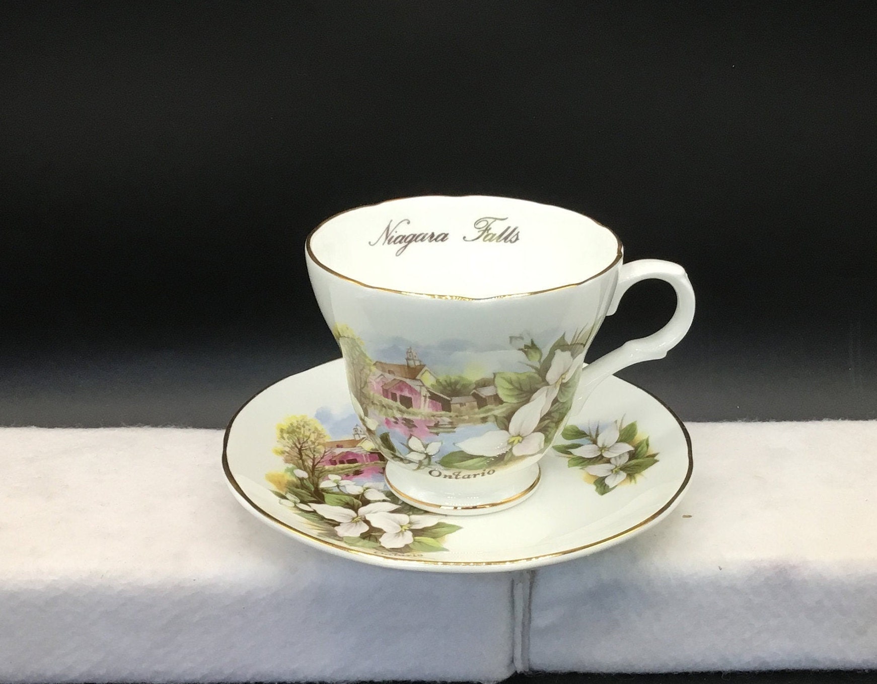 Niagara Falls Teacup - Etsy