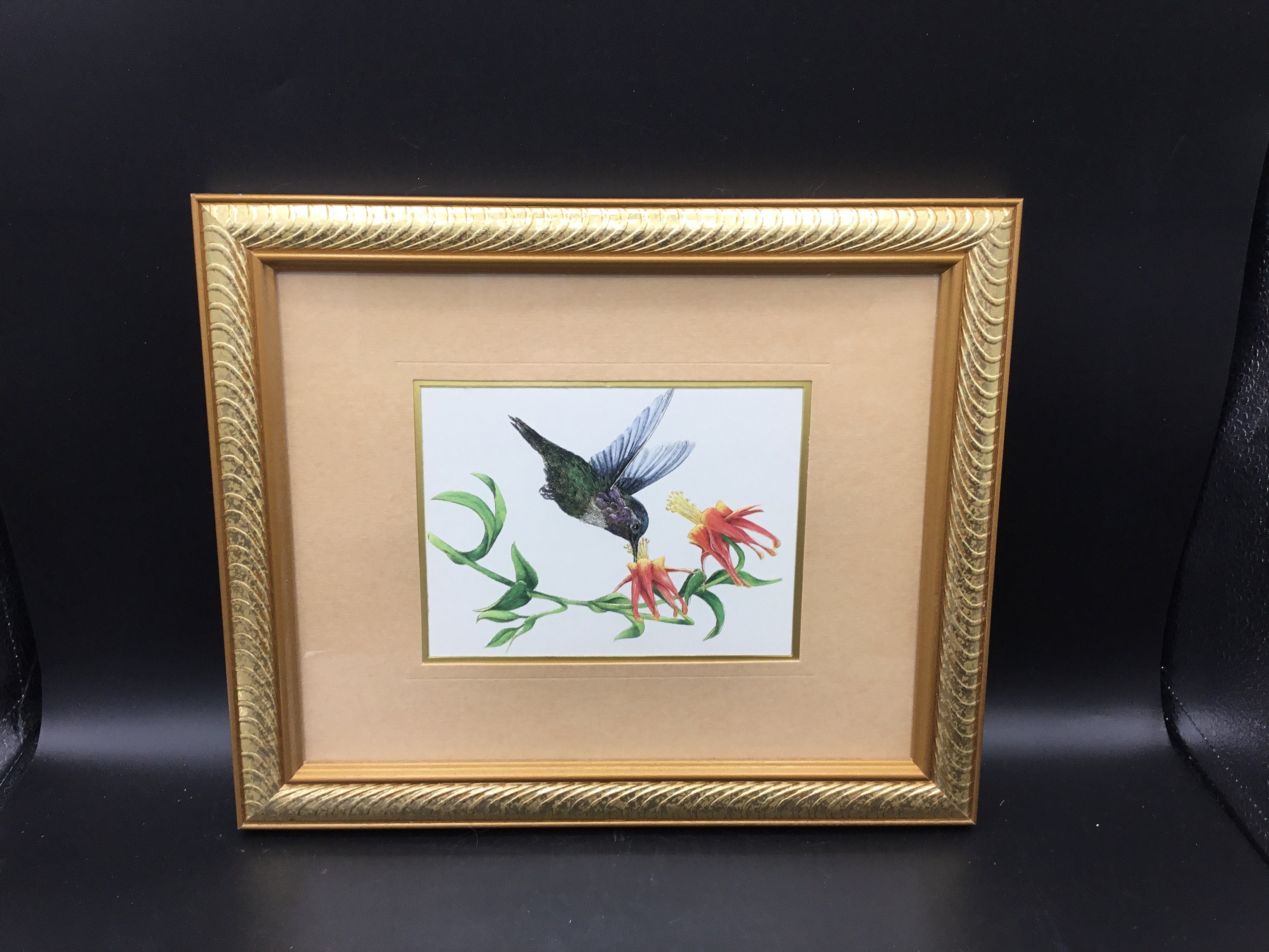 Butterfly Print - 8 by 10 inches