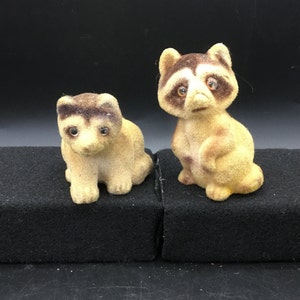 Pair of Fuzzy Raccoons - Japan