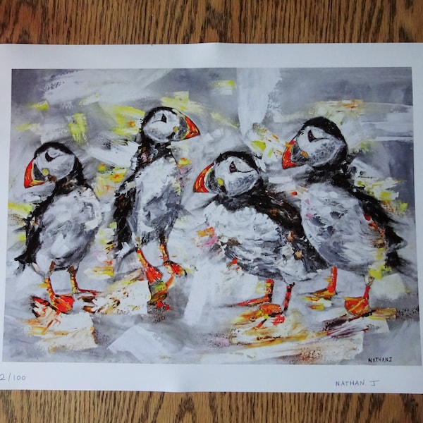 Superb quality limited edition gilclee fine art prints. Puffins